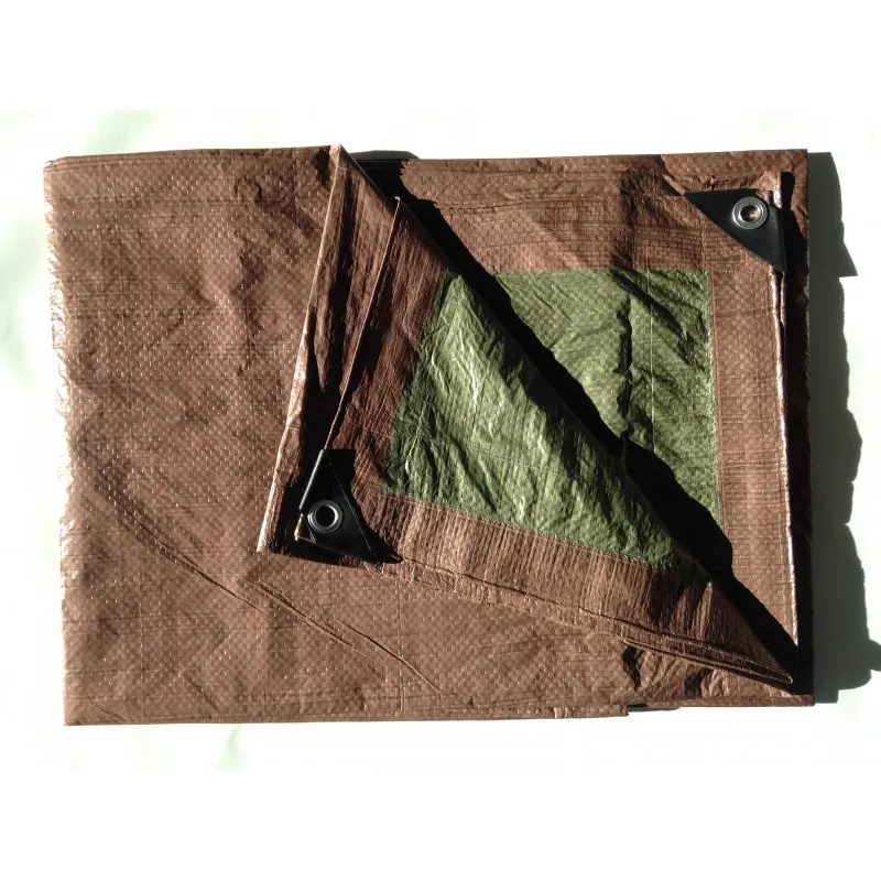 BÂCHE 80G/M² 6X10M - MACXI