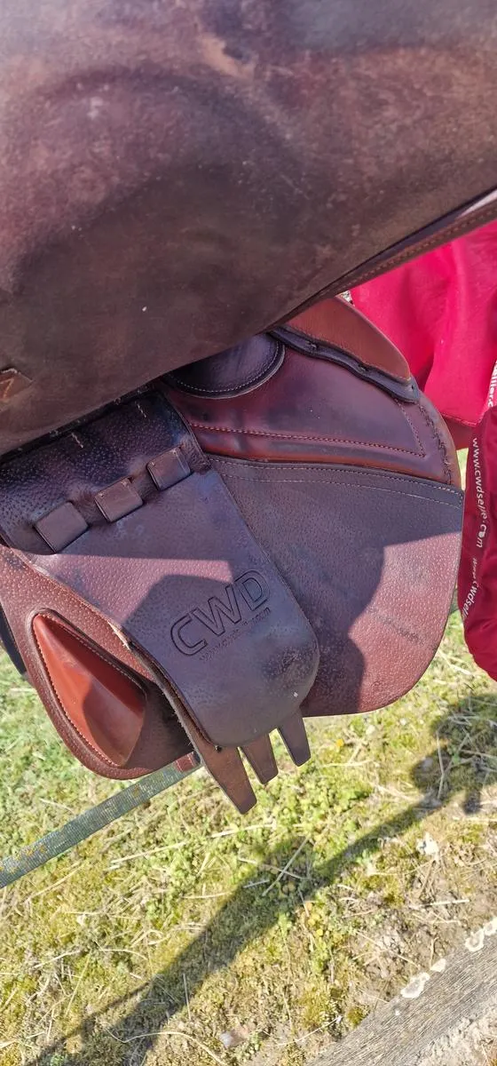 CWD SE01 Saddle