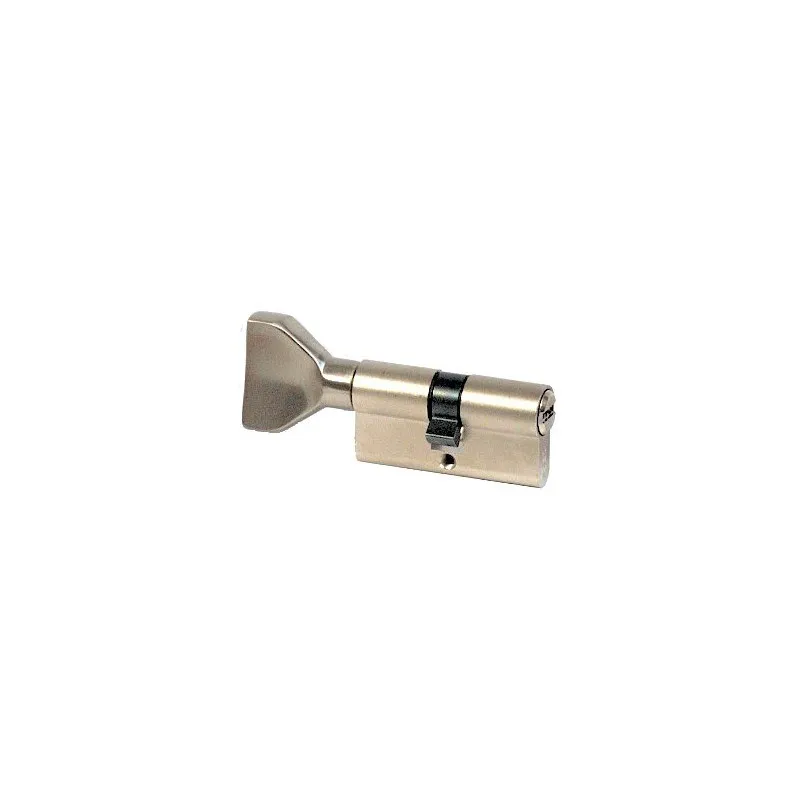 Cylindre R6 30x60 mm ISEO