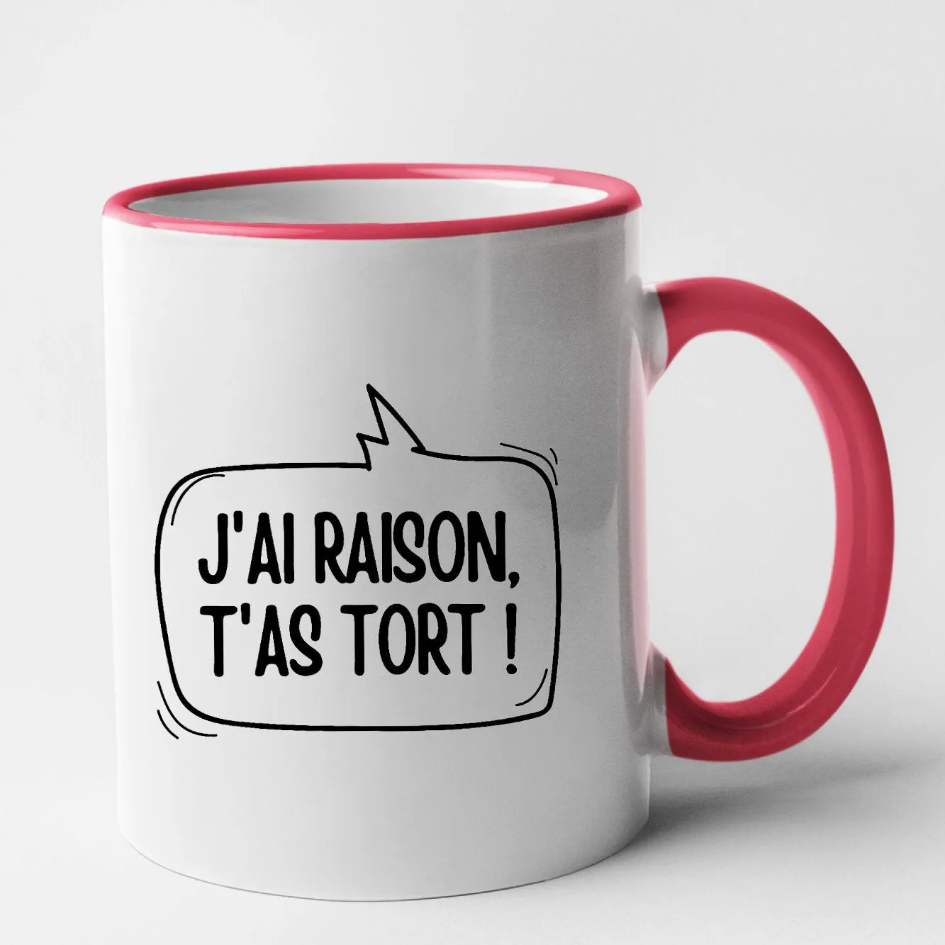 I'm Right, You're Wrong Mug