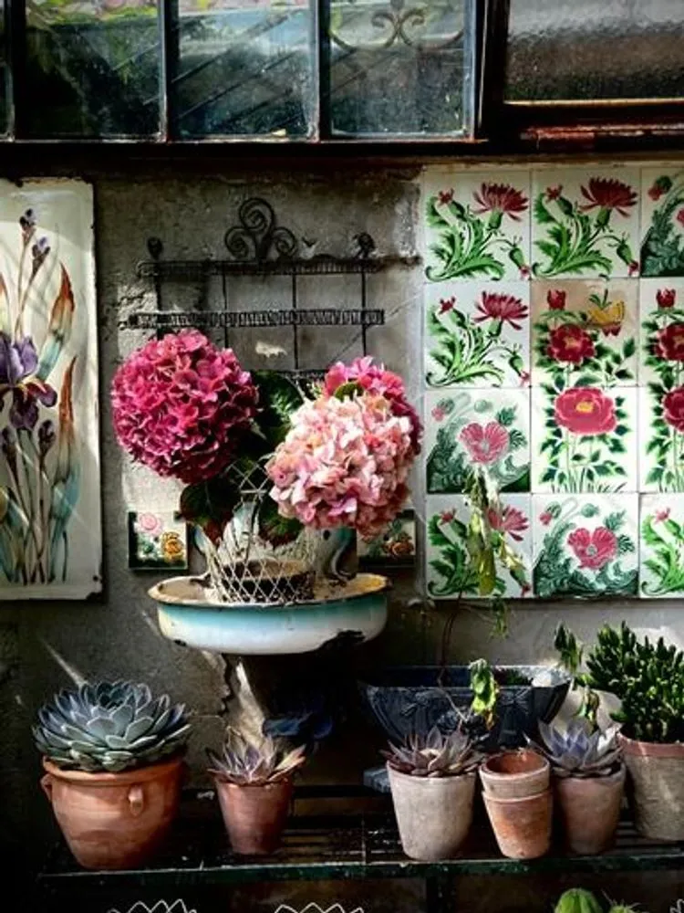 Photo d'art - les bouquets n°7