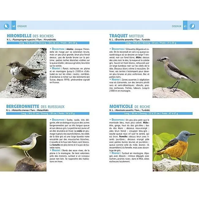 Recognize All Provence Mediterranean Species.