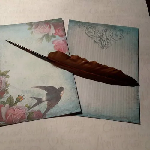 Set of 2 Scrapbooking Paper Sheets, Shabby Chic, Roses, Swallow Thick 250g Scrap Paper