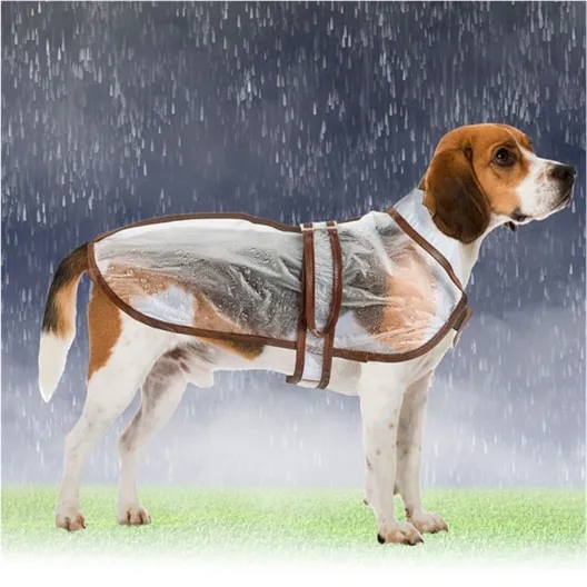 Transparent Dog Raincoat